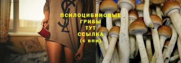 прущая мука Ростов