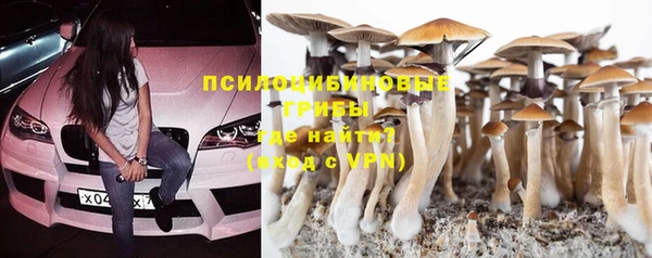 прущая мука Ростов
