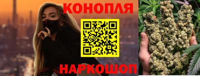 стафф Лесосибирск