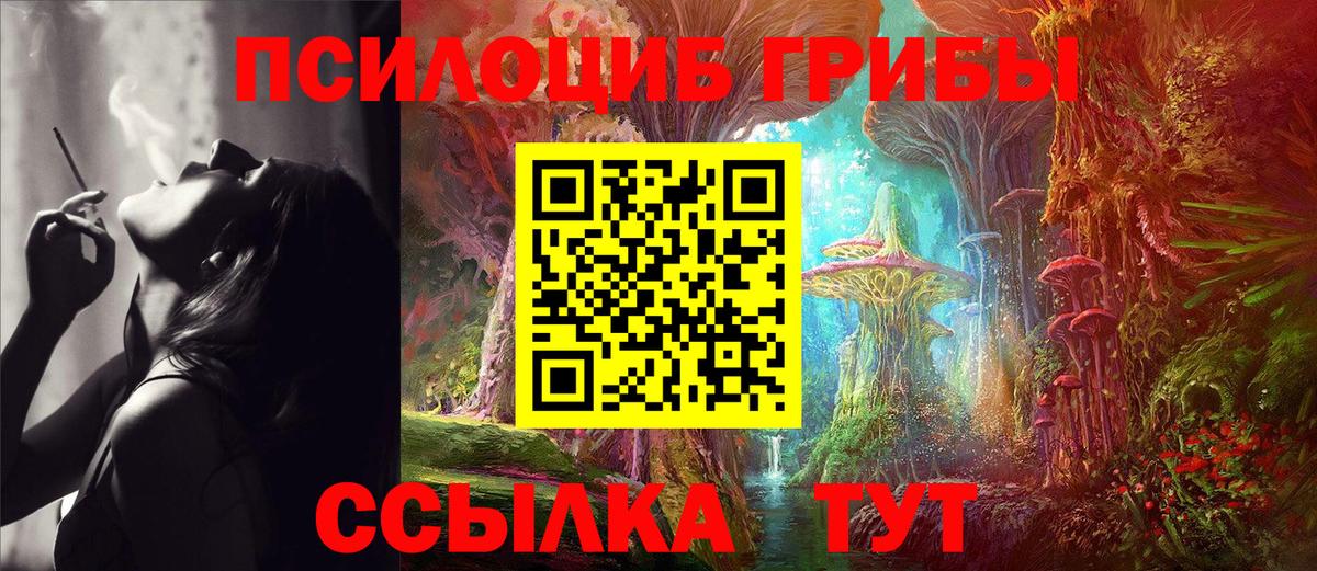 Галлюциногенные грибы Psilocybine cubensis Кашира